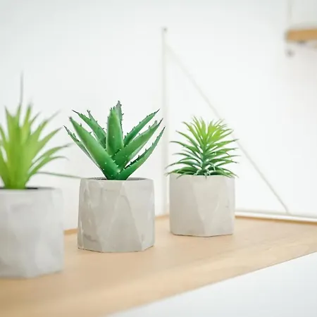 Floral Retreat In Center By Flat Mаnager Apartment *